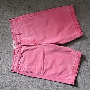 Vintage Hollister buttonfly short 30